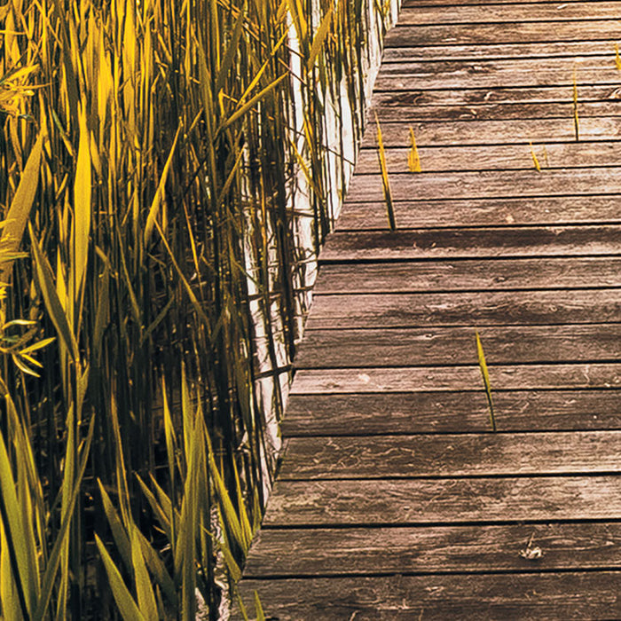 Digitaldruck Vlies Fototapete | Lakeside