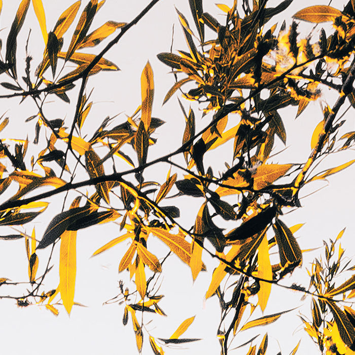 Digitaldruck Vlies Fototapete | Lakeside