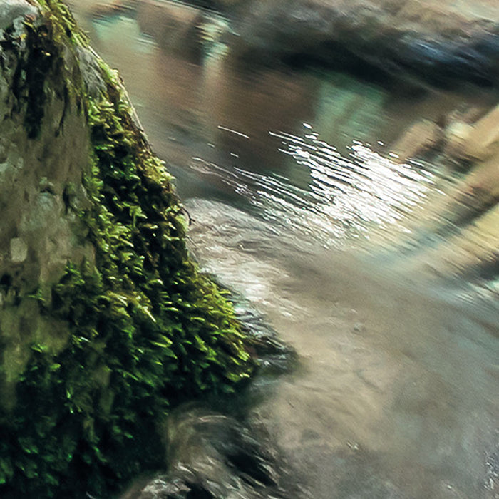 Digitaldruck Vlies Fototapete | Tranquil Pool | 400 x 250 cm