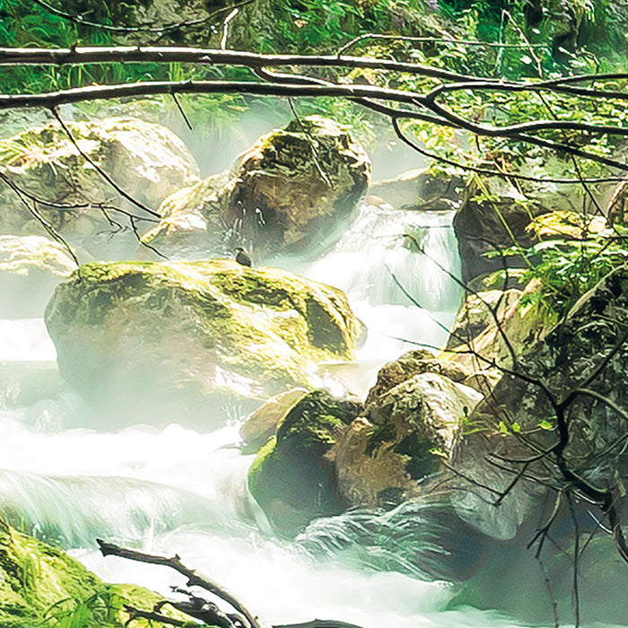 Digitaldruck Vlies Fototapete | Tranquil Pool | 400 x 250 cm