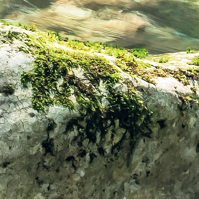 Digitaldruck Vlies Fototapete | Tranquil Pool | 400 x 250 cm