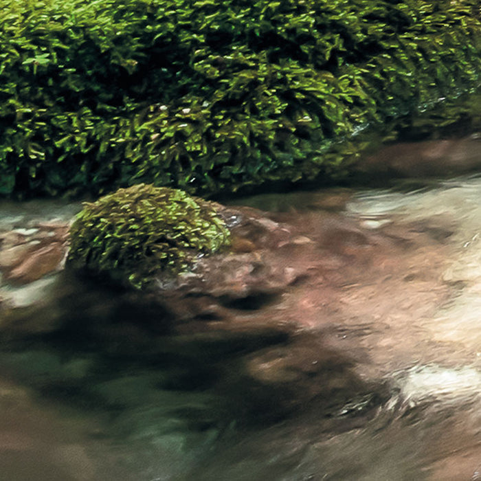 Digitaldruck Vlies Fototapete | Tranquil Pool | 400 x 250 cm