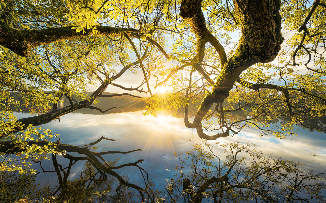 Digitaldruck Vlies Fototapete | Golden Embrace | 400 x 250 cm