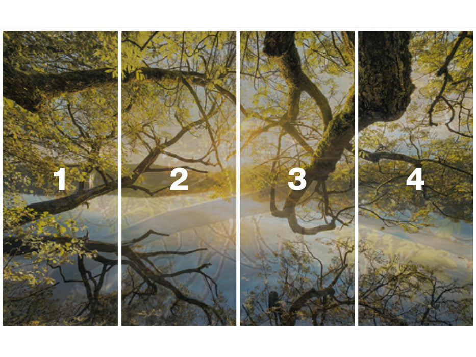 Digitaldruck Vlies Fototapete | Golden Embrace | 400 x 250 cm