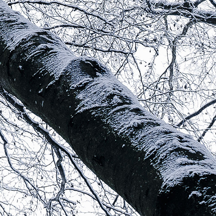 Digitaldruck Vlies Fototapete | Up | 400 x 250 cm