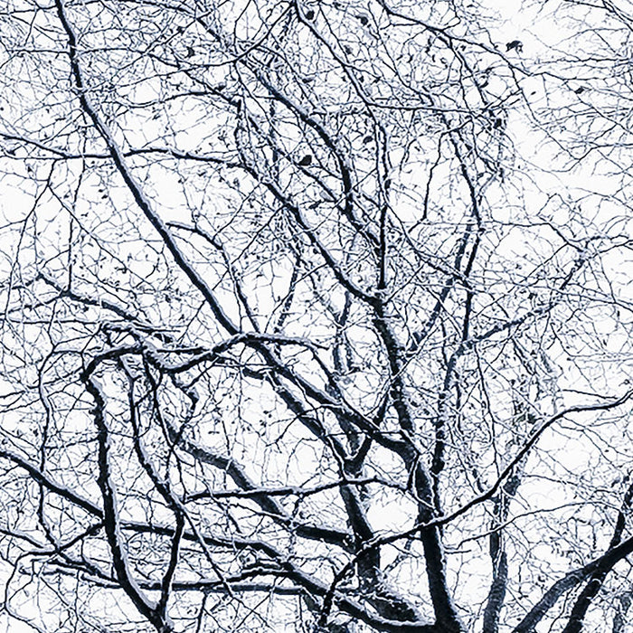 Digitaldruck Vlies Fototapete | Up | 400 x 250 cm