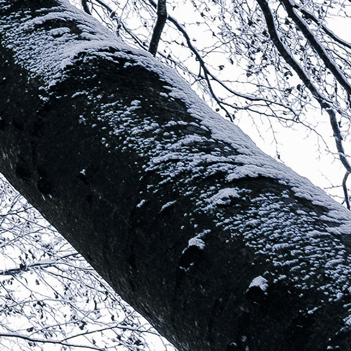 Digitaldruck Vlies Fototapete | Up | 400 x 250 cm