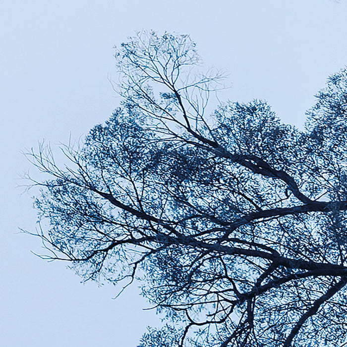 Digitaldruck Vlies Fototapete | Blue Waters | 400 x 250 cm
