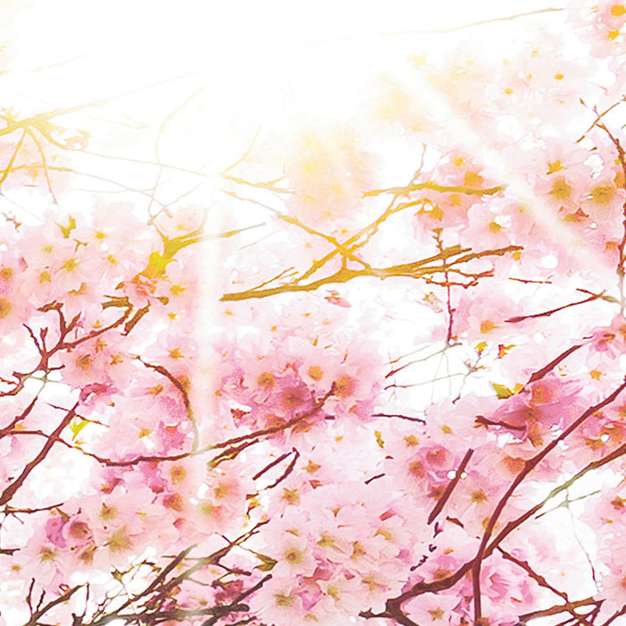 Digitaldruck Vlies Fototapete | Bloom