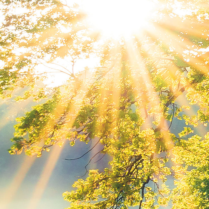Digitaldruck Vlies Fototapete | A New Day in Paradise | 400 x 250 cm