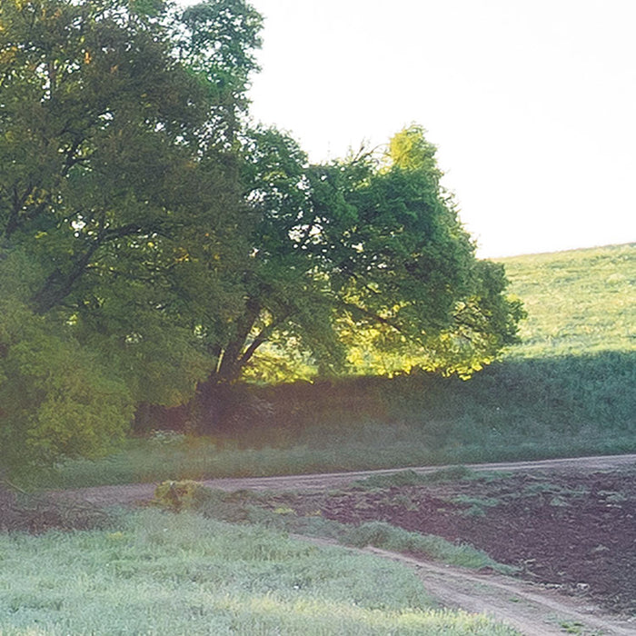 Digitaldruck Vlies Fototapete | A New Day in Paradise | 400 x 250 cm