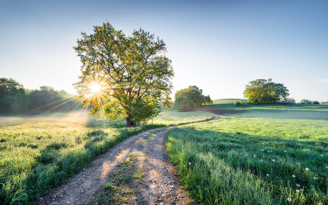 Digitaldruck Vlies Fototapete | A New Day in Paradise | 400 x 250 cm