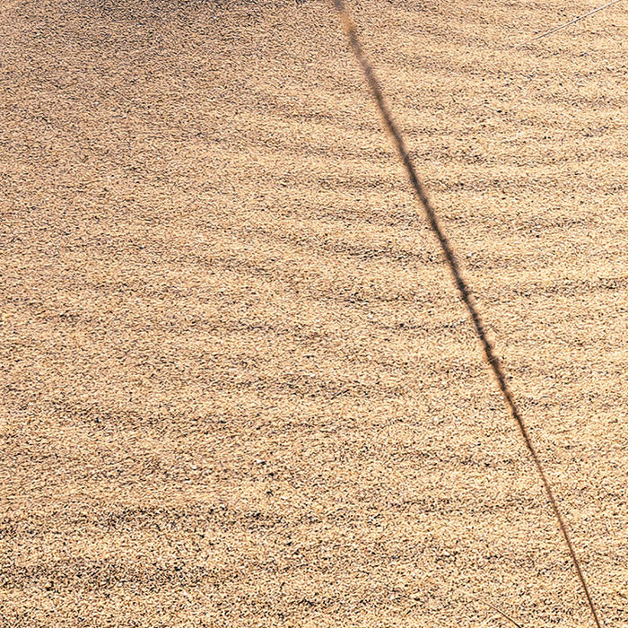 Digitaldruck Vlies Fototapete | Vivid Dunes