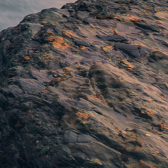 Digitaldruck Vlies Fototapete | Cry of the Sea | 200 x 280 cm