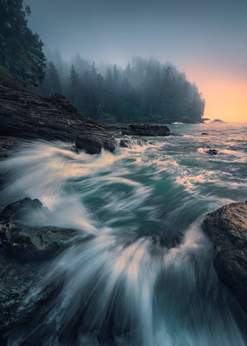 Digitaldruck Vlies Fototapete | Cry of the Sea | 200 x 280 cm