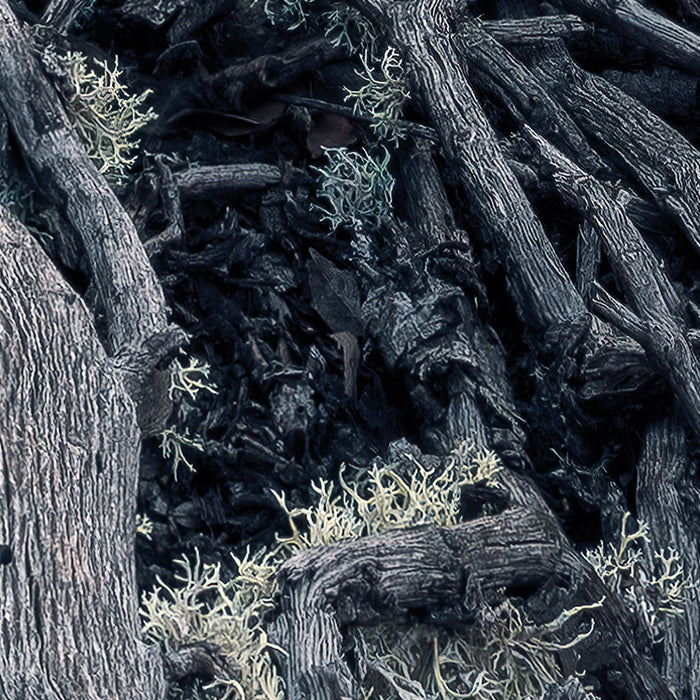 Digitaldruck Vlies Fototapete | Flowering Tales | 200 x 280 cm