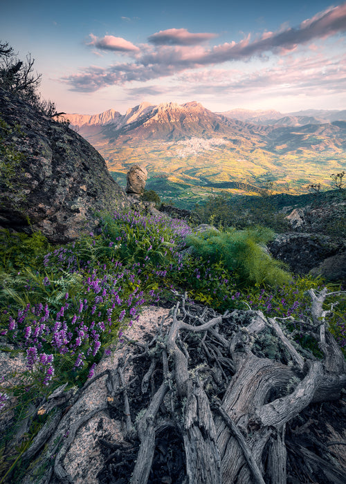 Digitaldruck Vlies Fototapete | Flowering Tales | 200 x 280 cm