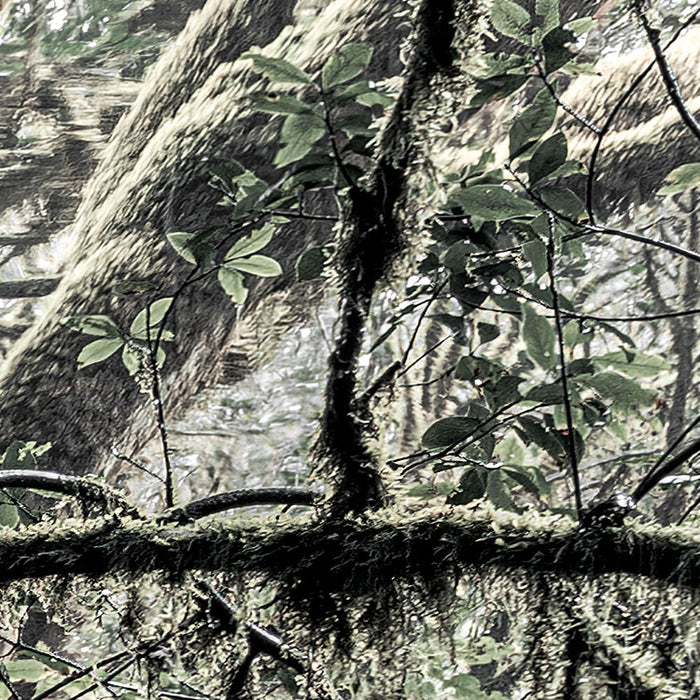 Digitaldruck Vlies Fototapete | Das Model | 250 x 280 cm