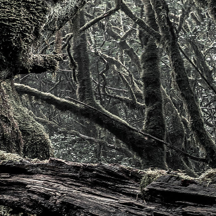 Digitaldruck Vlies Fototapete | Das Model | 250 x 280 cm