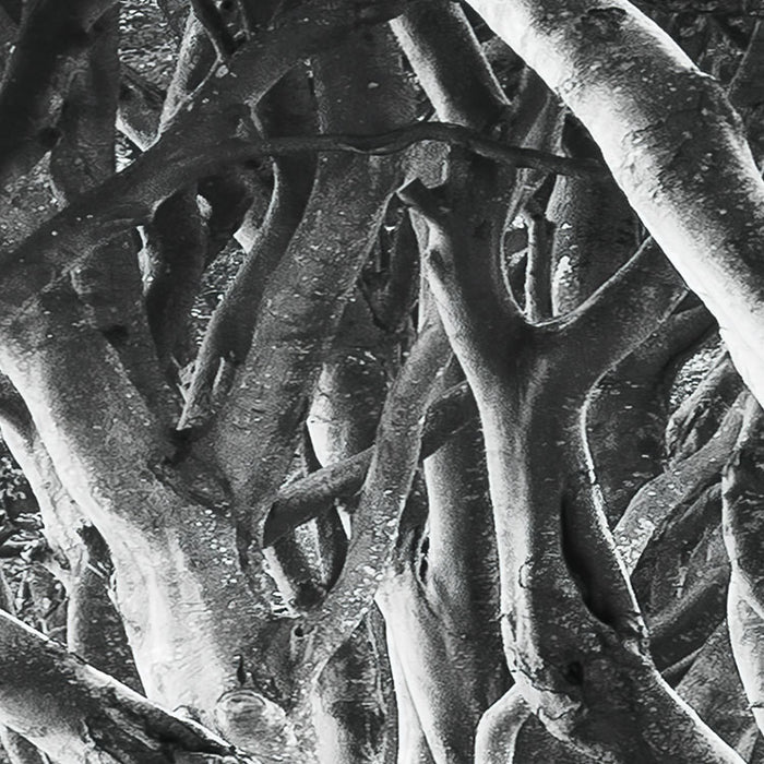 Digitaldruck Vlies Fototapete | Forevenue | 250 x 280 cm