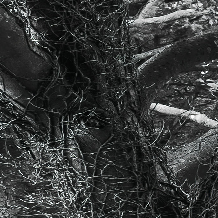Digitaldruck Vlies Fototapete | Forevenue | 250 x 280 cm