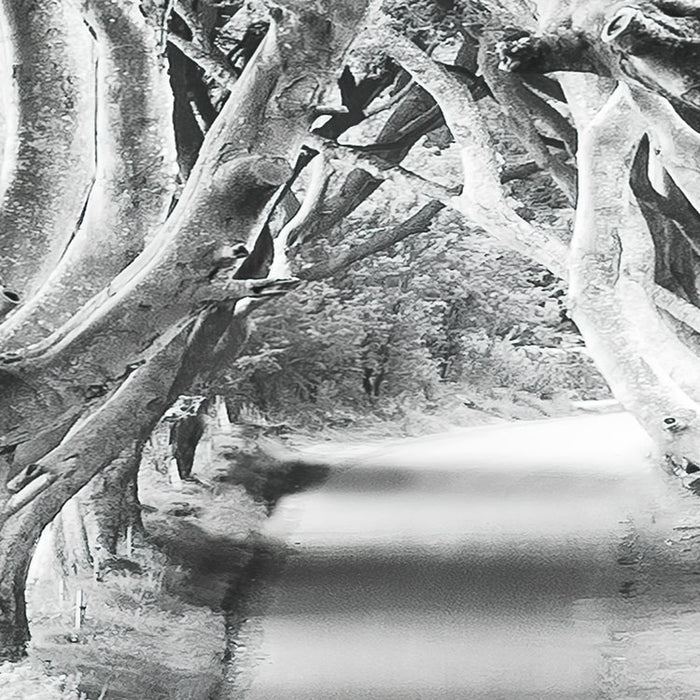 Digitaldruck Vlies Fototapete | Forevenue | 250 x 280 cm