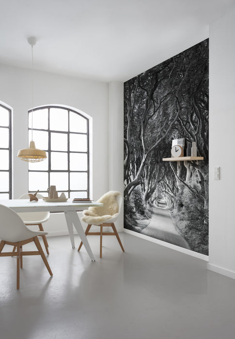 Digitaldruck Vlies Fototapete | Forevenue | 250 x 280 cm