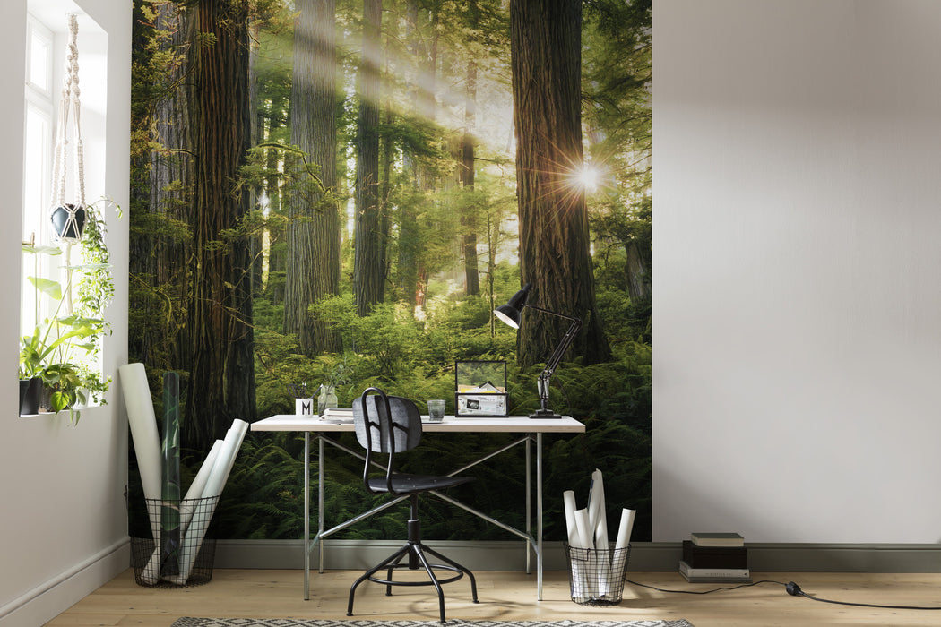 Digitaldruck Vlies Fototapete | Goblins Woods | 250 x 280 cm