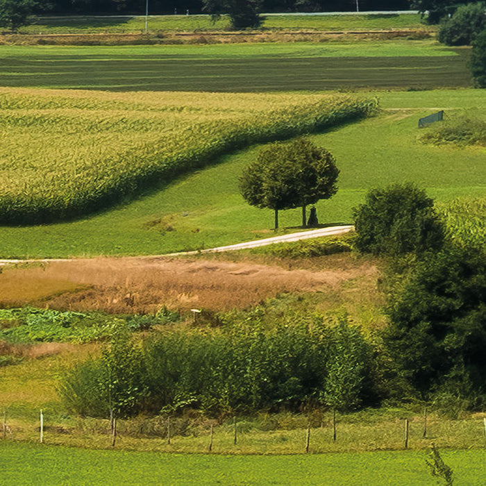 Digitaldruck Vlies Fototapete | Bayrische Idylle | 350 x 280 cm