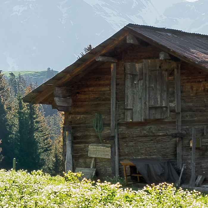 Digitaldruck Vlies Fototapete | Alpenglück | 400 x 280 cm