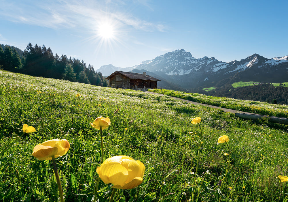 Digitaldruck Vlies Fototapete | Alpenglück | 400 x 280 cm