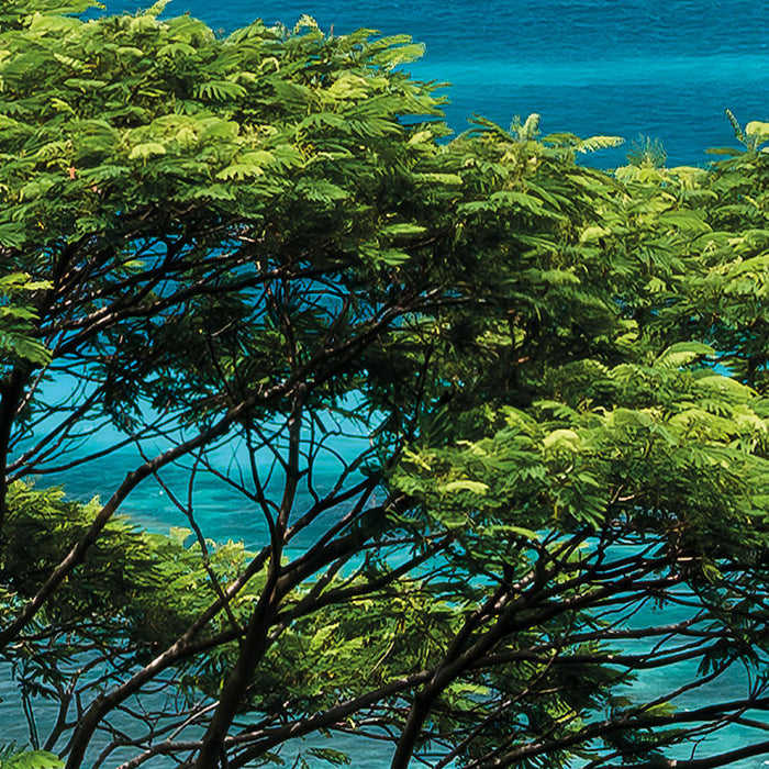 Digitaldruck Vlies Fototapete | The Sea View | 400 x 200 cm