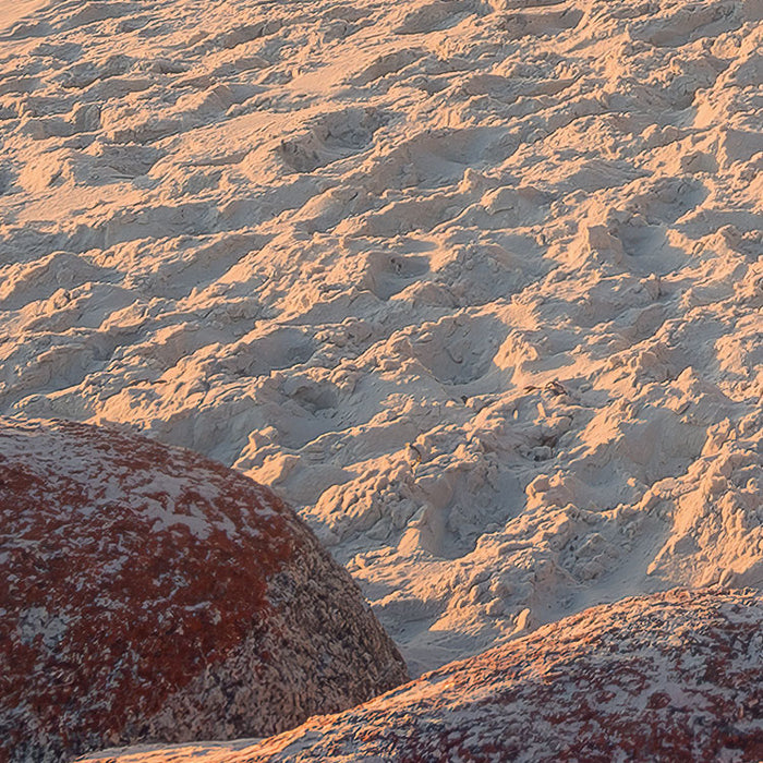 Digitaldruck Vlies Fototapete | Bay of Fires | 400 x 280 cm