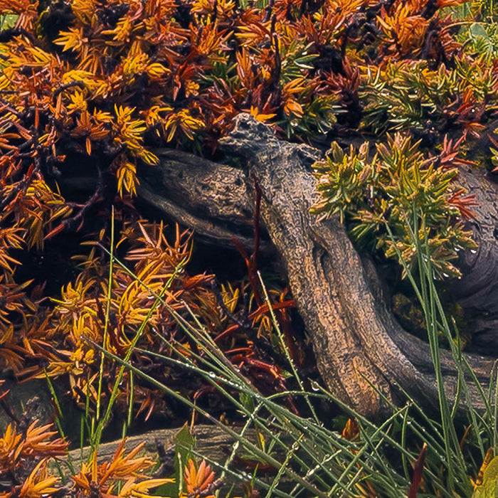 Digitaldruck Vlies Fototapete | The Last Paradise | 400 x 280 cm