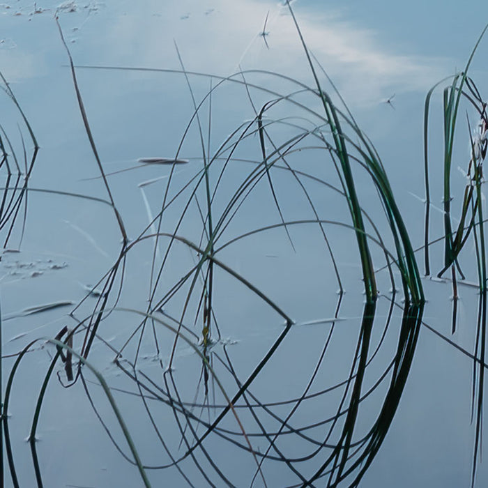 Digitaldruck Vlies Fototapete | Allgäu Spiegel | 450 x 280 cm