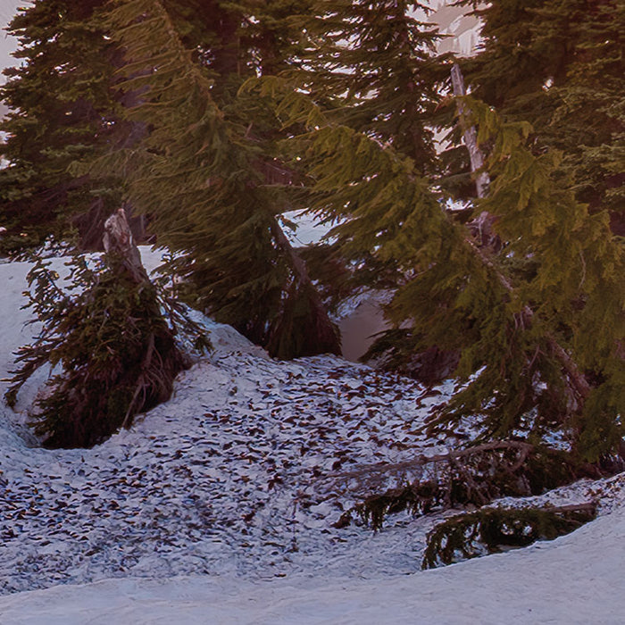 Digitaldruck Vlies Fototapete | America the Beautiful | 450 x 280 cm