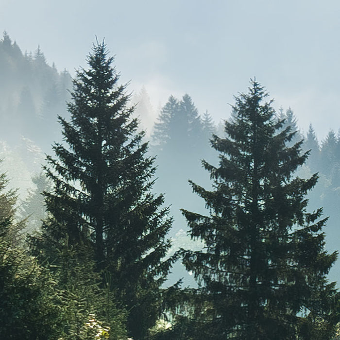 Digitaldruck Vlies Fototapete | Bergwiese vor Karwendel | 450 x 280 cm