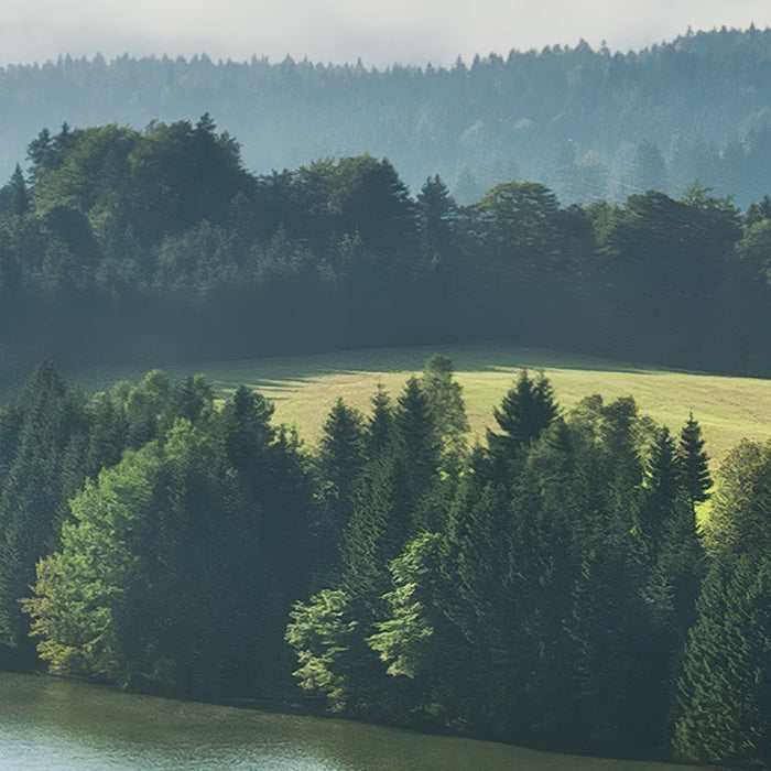 Digitaldruck Vlies Fototapete | Bergwiese vor Karwendel | 450 x 280 cm