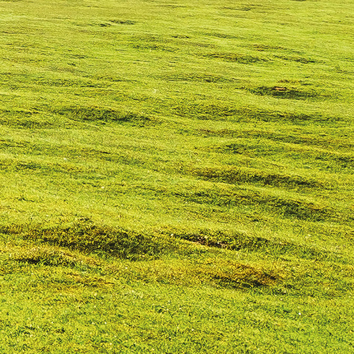 Digitaldruck Vlies Fototapete | Bergwiese vor Karwendel | 450 x 280 cm