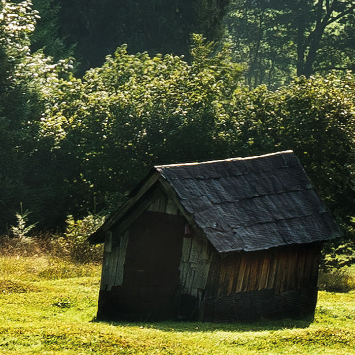 Digitaldruck Vlies Fototapete | Bergwiese vor Karwendel | 450 x 280 cm
