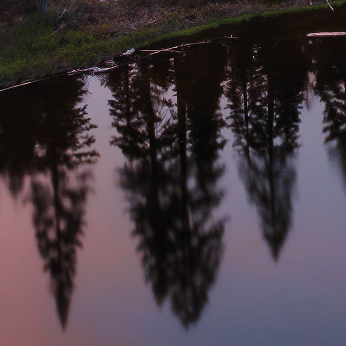 Digitaldruck Vlies Fototapete | Between the Light | 450 x 280 cm