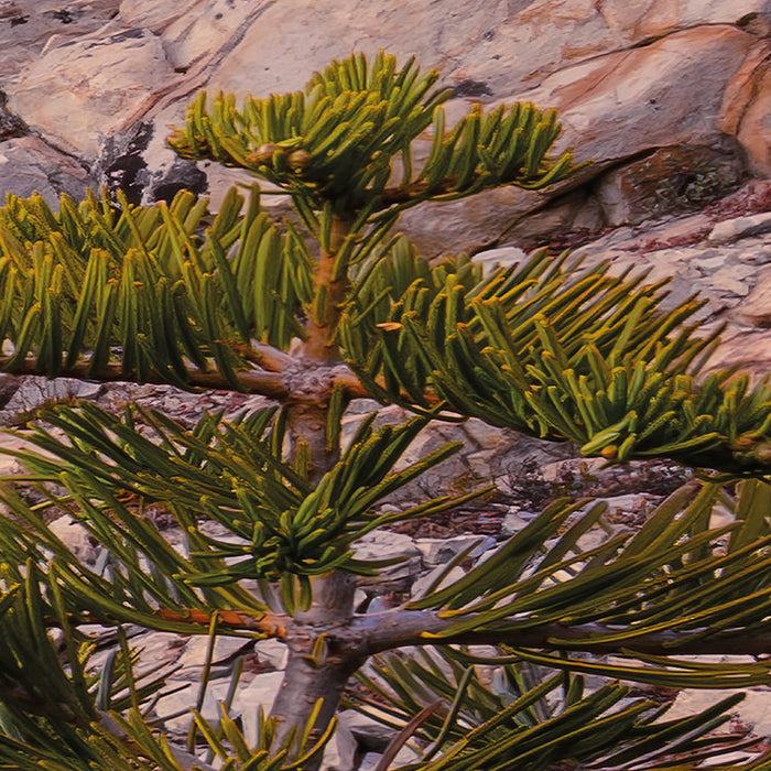 Digitaldruck Vlies Fototapete | Between the Light | 450 x 280 cm