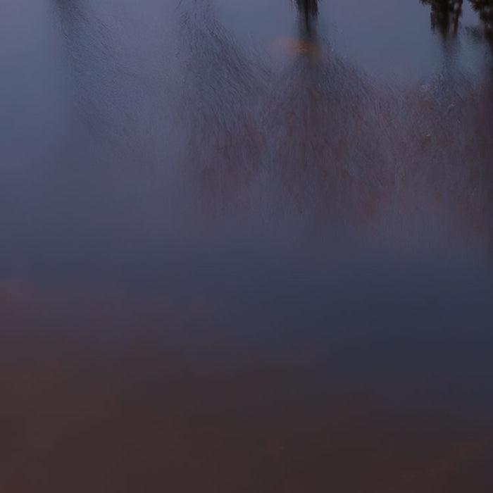 Digitaldruck Vlies Fototapete | Between the Light | 450 x 280 cm