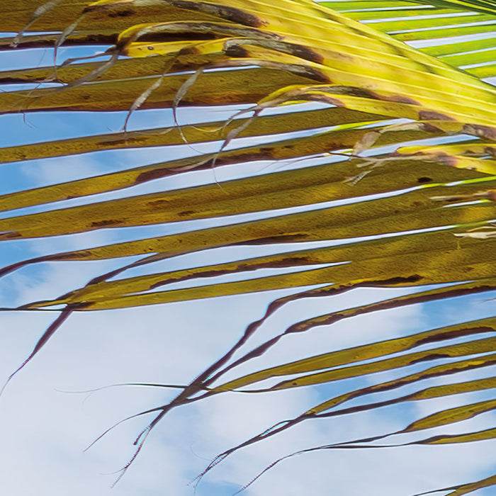 Digitaldruck Vlies Fototapete | Caribbean Days II | 450 x 280 cm
