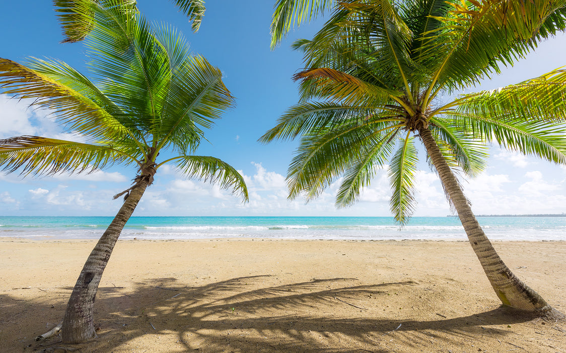 Digitaldruck Vlies Fototapete | Caribbean Days II | 450 x 280 cm