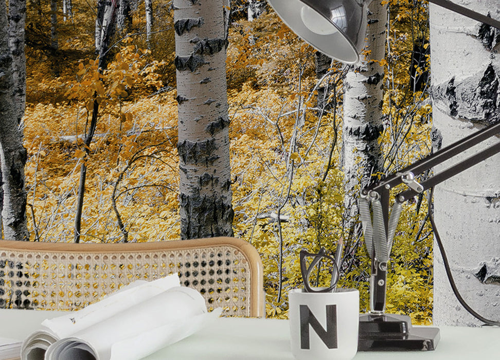 Digitaldruck Vlies Fototapete | Colorful Aspenwoods | 450 x 280 cm