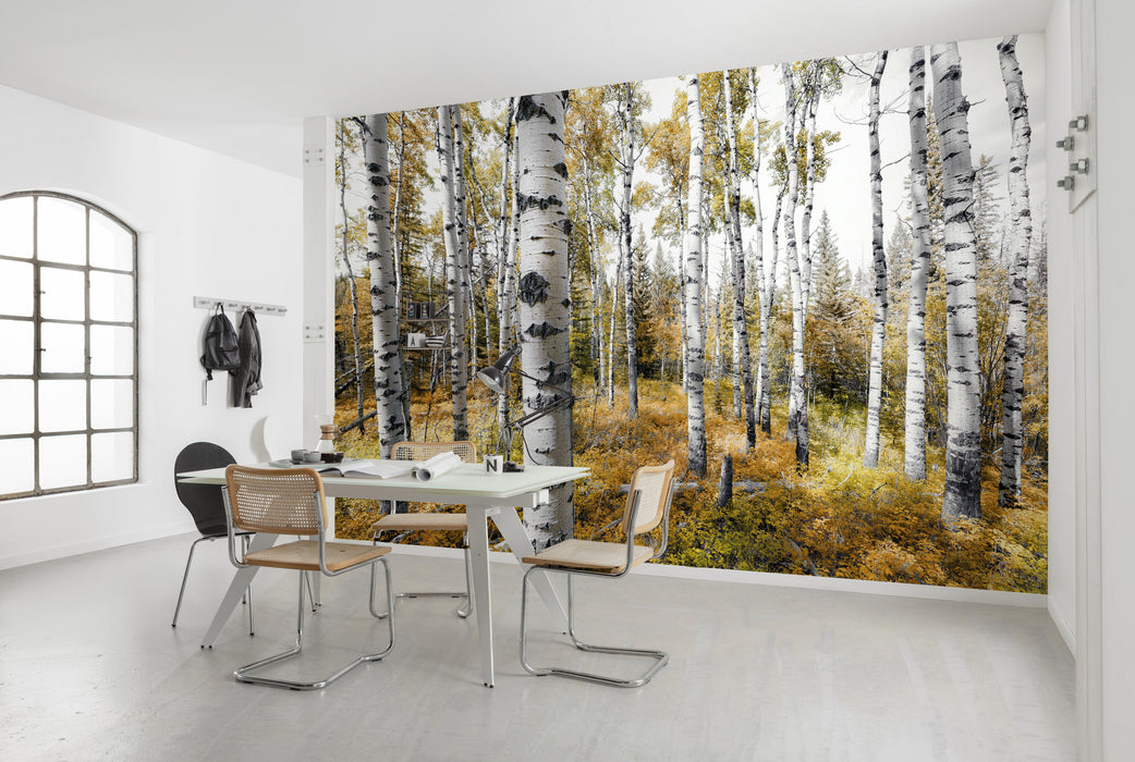 Digitaldruck Vlies Fototapete | Colorful Aspenwoods | 450 x 280 cm