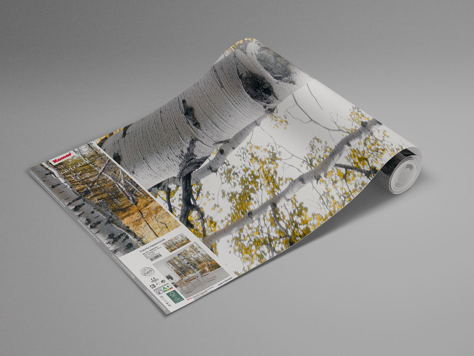 Digitaldruck Vlies Fototapete | Colorful Aspenwoods | 450 x 280 cm
