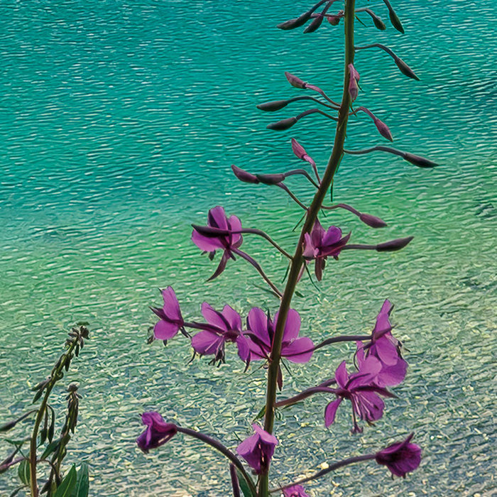 Digitaldruck Vlies Fototapete | Dolomitenjuwel | 450 x 280 cm
