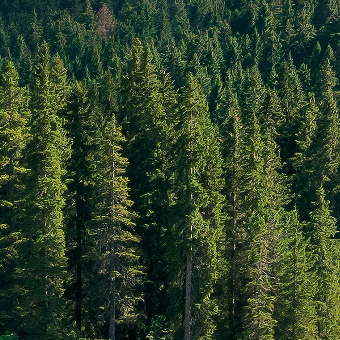 Digitaldruck Vlies Fototapete | Dolomitenjuwel | 450 x 280 cm
